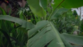 Hegre Clover Captured In Bali moan porn